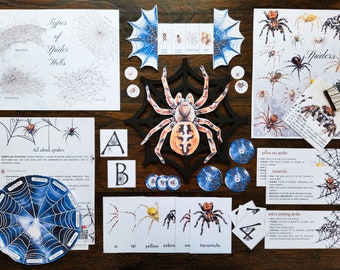 May include: A set of educational materials for learning about spiders. The set includes a large spider web with a spider in the center, cards with different types of spiders, and a spider web chart with different types of webs. The cards have the names of the spiders written on them, such as "yellow sac spider", "zebra jumping spider", and "tarantula".