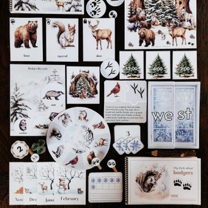 May include: A set of educational flashcards for children featuring illustrations of animals, a badger life cycle, and a clock face. The cards are printed on white cardstock with colorful illustrations and text. The cards are designed to help children learn about animals, time, and the natural world.