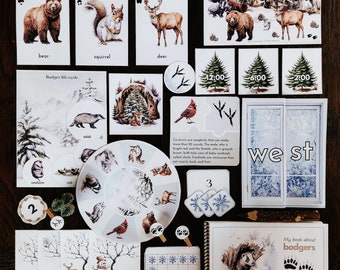 Winter-Lerneinheit: Tiere, Spuren und Adventskalender