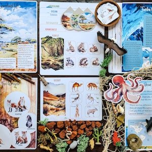 Habitats, Animal Habitats, Homeschool activities, Printables, Unit Study, Montessori Inspired