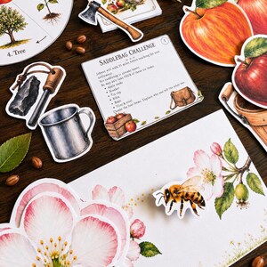 May include: A collection of educational paper cutouts featuring a Johnny Appleseed vocabulary guide, a saddlebag challenge card, red apple illustrations, a tin cup, an axe, a bee, and apple blossoms, all arranged with scattered brown seeds.
