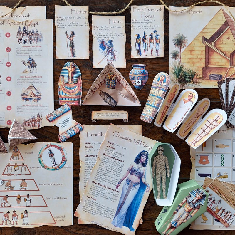 Italian Vs Egyptian Rice Etsy Canada Italian Vs Egyptian Rice Etsy Canada