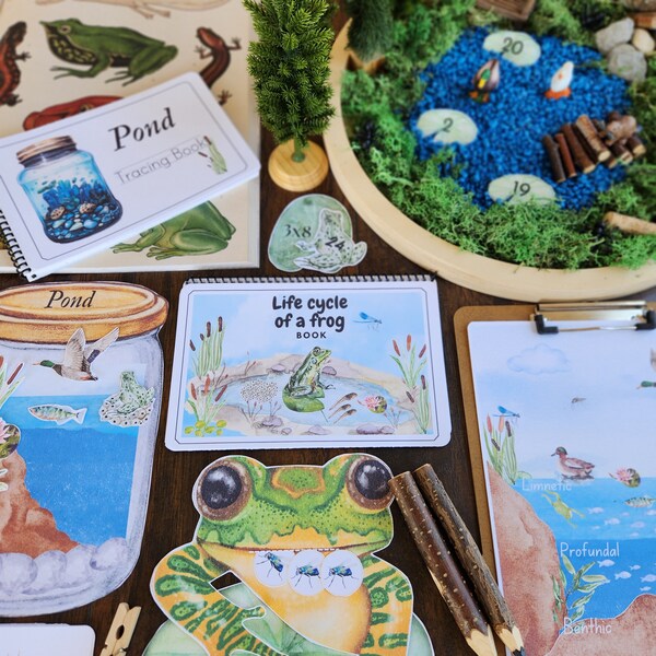 Pond Unit, Pond Study, Montessori Inspired, Homeschool, Homeschool activities, Frog, Pond Life, Activities, Printables, Unit Study