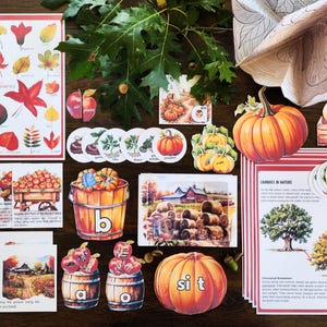May include: A collection of autumn-themed educational materials, including leaf charts, pumpkin cutouts, and apple illustrations. The items are arranged on a wooden surface, with a focus on fall colors and imagery. Educational cards with text are also included.