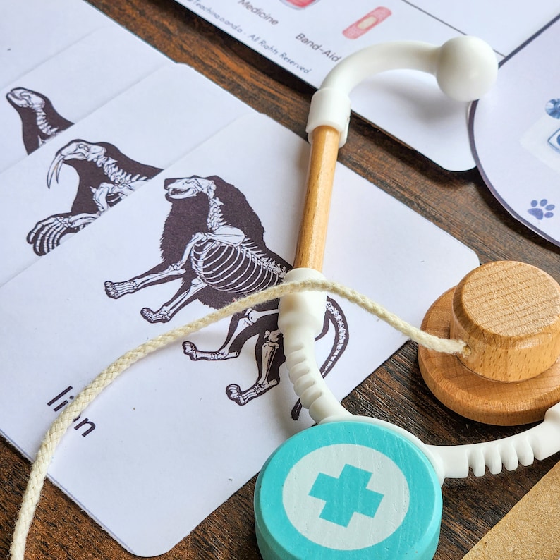 Veterinary Pack, Montessori Pack, Homeschool Activities, Animals Pack