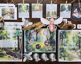 Cicadas, Cicadas Unit Study, Homeschool Printables, Montessori Study, Cicadas Printables, Insects, Insects Printables, Montessori Printables