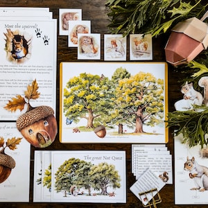 May include: A set of educational materials about squirrels, including a printable worksheet with the title "Meet the Squirrel!" and illustrations of squirrels, acorns, and trees. The set also includes a paper craft acorn with a small door and windows, and a printable worksheet with the title "Anatomy of an Acorn".