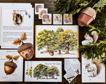 Squirrel & Acorn Unit Study: Homeschool Printables (Digital Download)