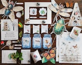 Insects Unit Study: Entomology Homeschool Printables (Digital Download)