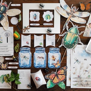 Entomology , Insects Unit Study, Bugs, Butterfly Life Cycle, Printables, Homeschool, Dramatic Play Set, Insects Lab, Hands-On Activities