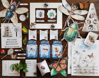 May include: A set of educational insect-themed printable cards and activities. The cards feature illustrations of various insects, including a beetle, a green stink bug, a dragonfly, a butterfly, and a bee. The activities include a life cycle chart, a 'What is an insect?' worksheet, and a 'Where do insects live?' worksheet.