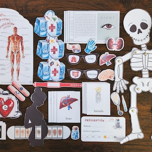 May include: A set of colorful educational flashcards and paper cutouts for kids featuring the human body, including the skeletal, nervous, and muscular systems, organs, and senses. The set also includes a skeleton cutout, a first aid kit, a prescription pad, and a pill bottle.