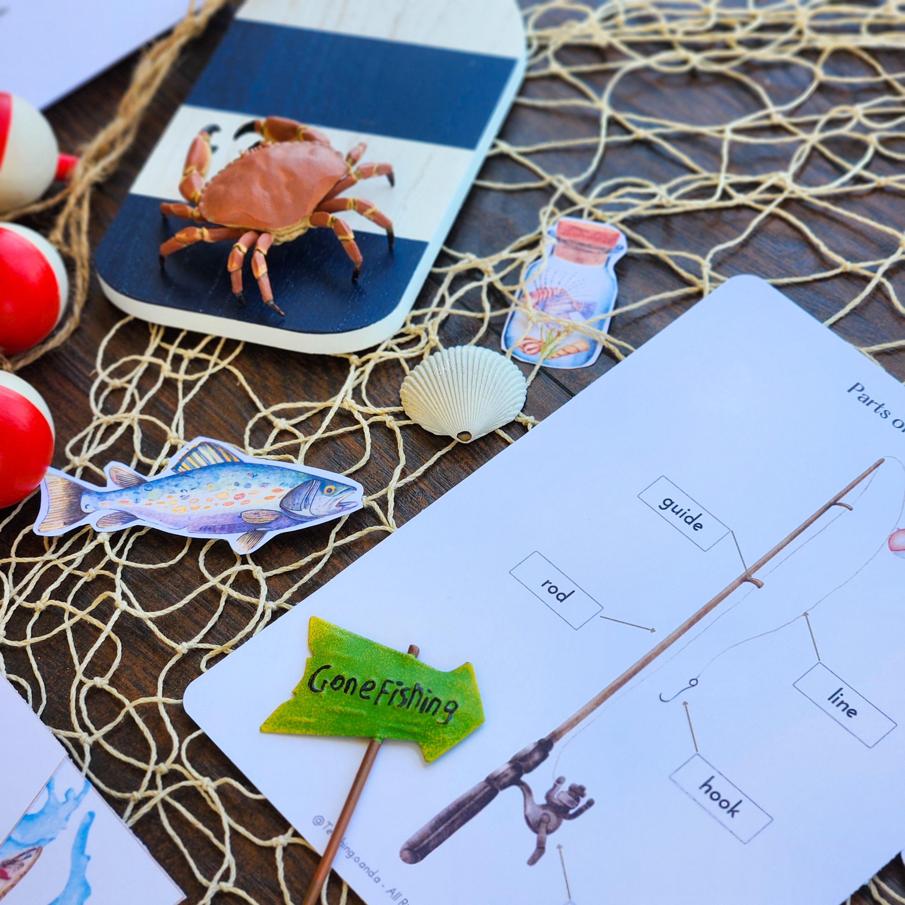 Fishing Unit Study, Montessori Study, Homeschool, Activities, Fish