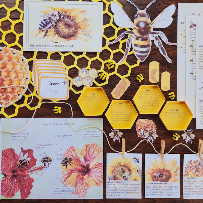 Bees Unit Study: Montessori Bee Activities & Pollination Printables - Etsy