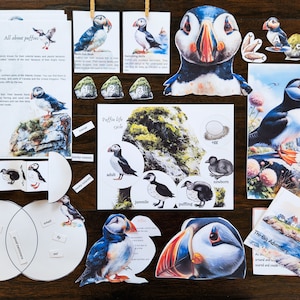 May include: A set of educational printable materials about puffins, including a life cycle chart, a Venn diagram, and several images of puffins. The text includes the words "All about puffins", "Puffin life cycle", "The Big Adventure", and "A" and "B".