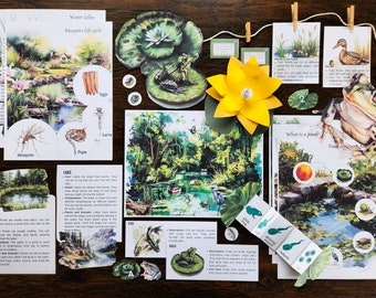 May include: A set of educational materials for learning about ponds and lakes. The set includes colorful illustrations, diagrams, and text cards with information about the different types of plants and animals found in these aquatic environments. The set also includes a paper lily pad with a yellow flower.