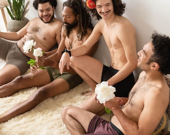 Pack of Boxer Briefs - multiple pairs of organic cotton men’s underwear - natural fiber boxers