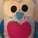 Owl Pocket Pillow