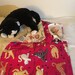 Cat Mat - "Kozy Kot" - mountain lion (large) size