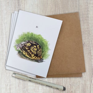 Maus und Schildkröte (5) -Blanko Grußkarten - ""Hi"" (4,25 x 5,5 ") Niedliche, Allgemeine Karte."