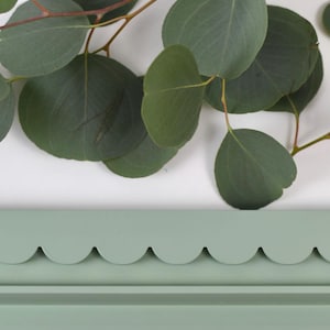 May include: A close-up shot features a sage green scalloped trim and a sprig of eucalyptus leaves. The leaves are a deep green color, and the stems are brown. The trim has a decorative, wavy edge.