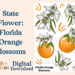 Zustand Blumen: Florida Orangenblüten druckbare Planner Aufkleber (digitaler Download)