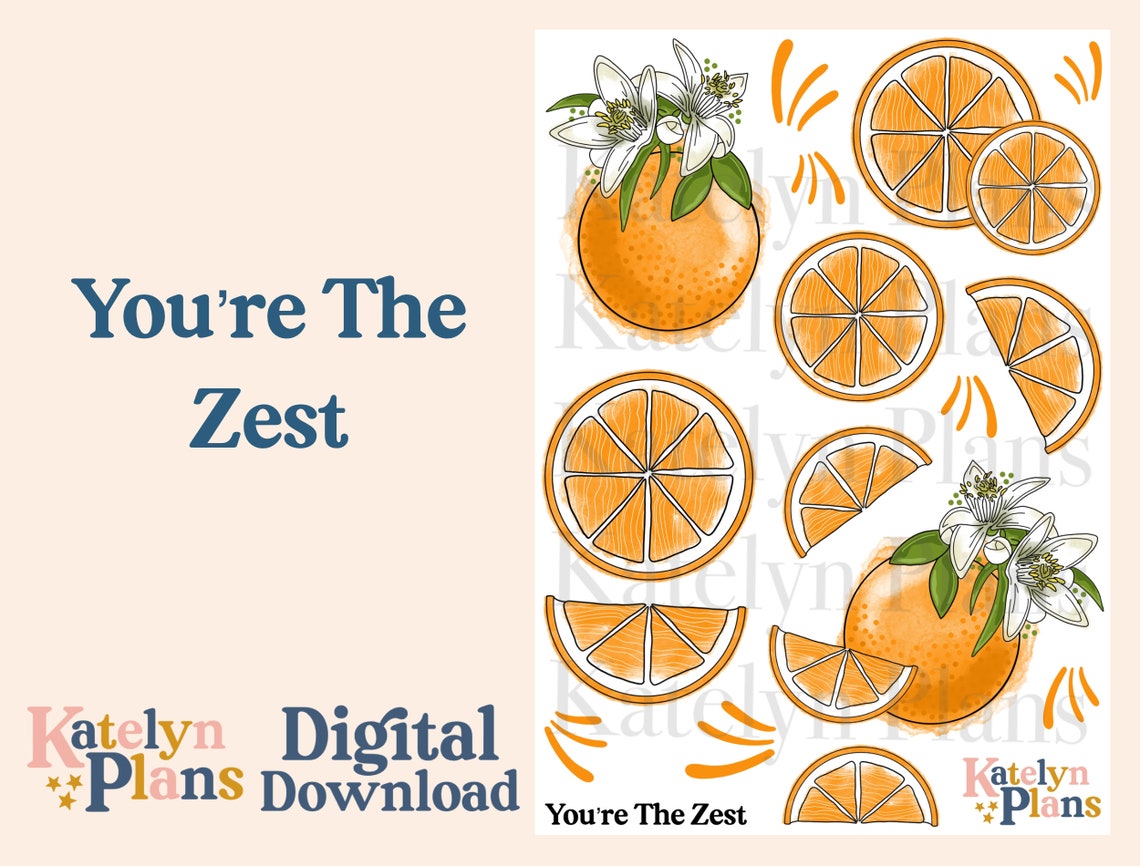 Youre the Zest Printable Planner Stickers digital Download Etsy