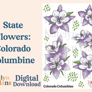 State Flowers: Colorado Columbine Digital Download Planner Stickers