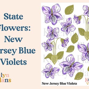 Flores estatales: violetas azules de Nueva Jersey (pegatinas físicas) 4,75 x 6,5 pulgadas