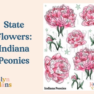State Flowers: Indiana Peonies Planner Stickers (Physical Stickers) 4.75 x 6.5 Inches