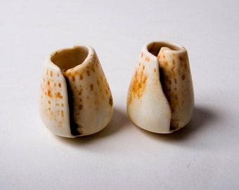 Superb old conus shell bead from Morocco