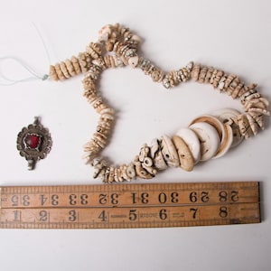 Marokkaans gesneden conusschelp, gemengde maten streng, antiek