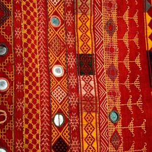 Printed Odhni with Embroidered Border