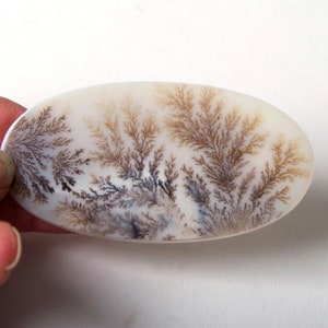 May include: A white oval agate cabochon with brown and black dendritic patterns resembling branches or ferns.