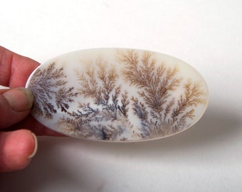 Very large dentritic agate oval with fern patterns