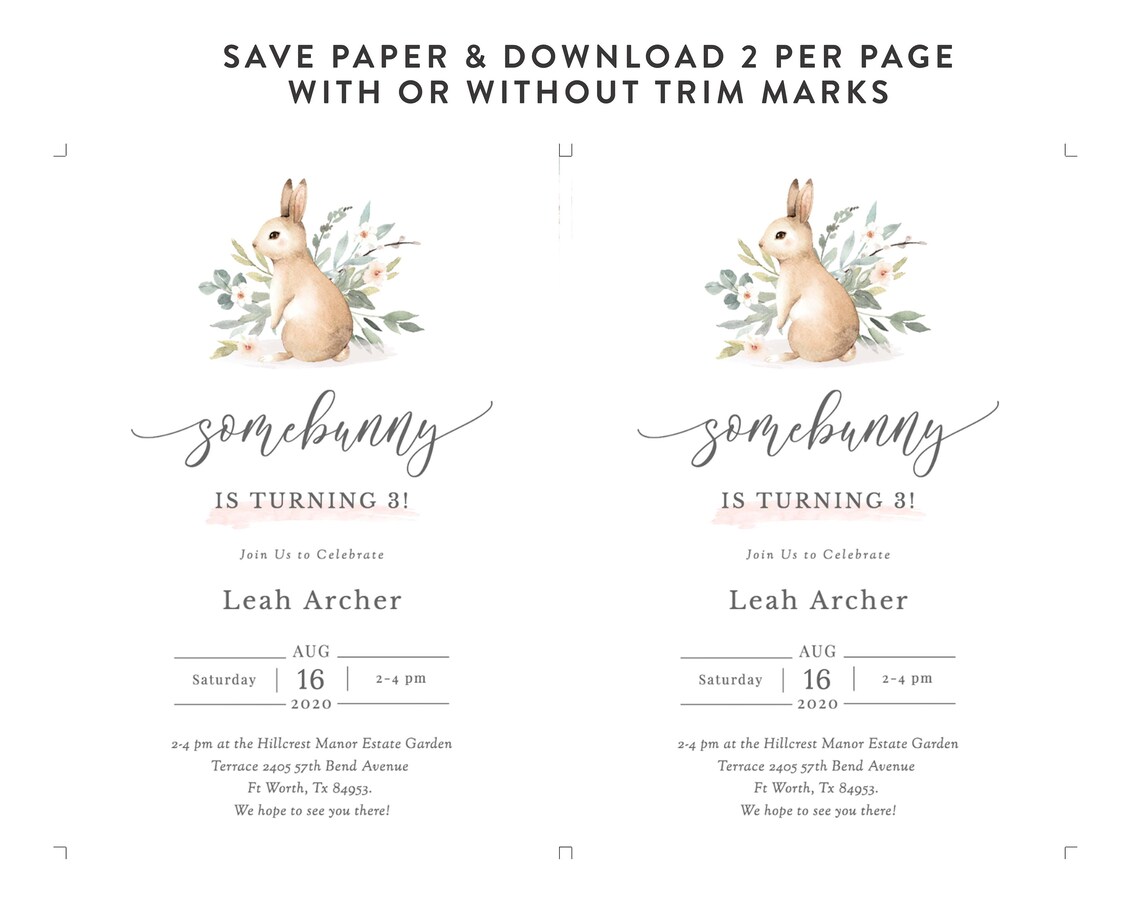 Bunny Birthday Invitation, Rabbit Birthday Invitation, Bunny Birthday ...