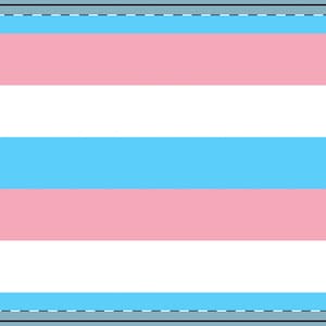 Transgender Pride Flag Double-Sided Flag, Rainbow Color Banner, Outdoor and Indoor Decor, Pride Celebration, Gift for Home, Garden Flag