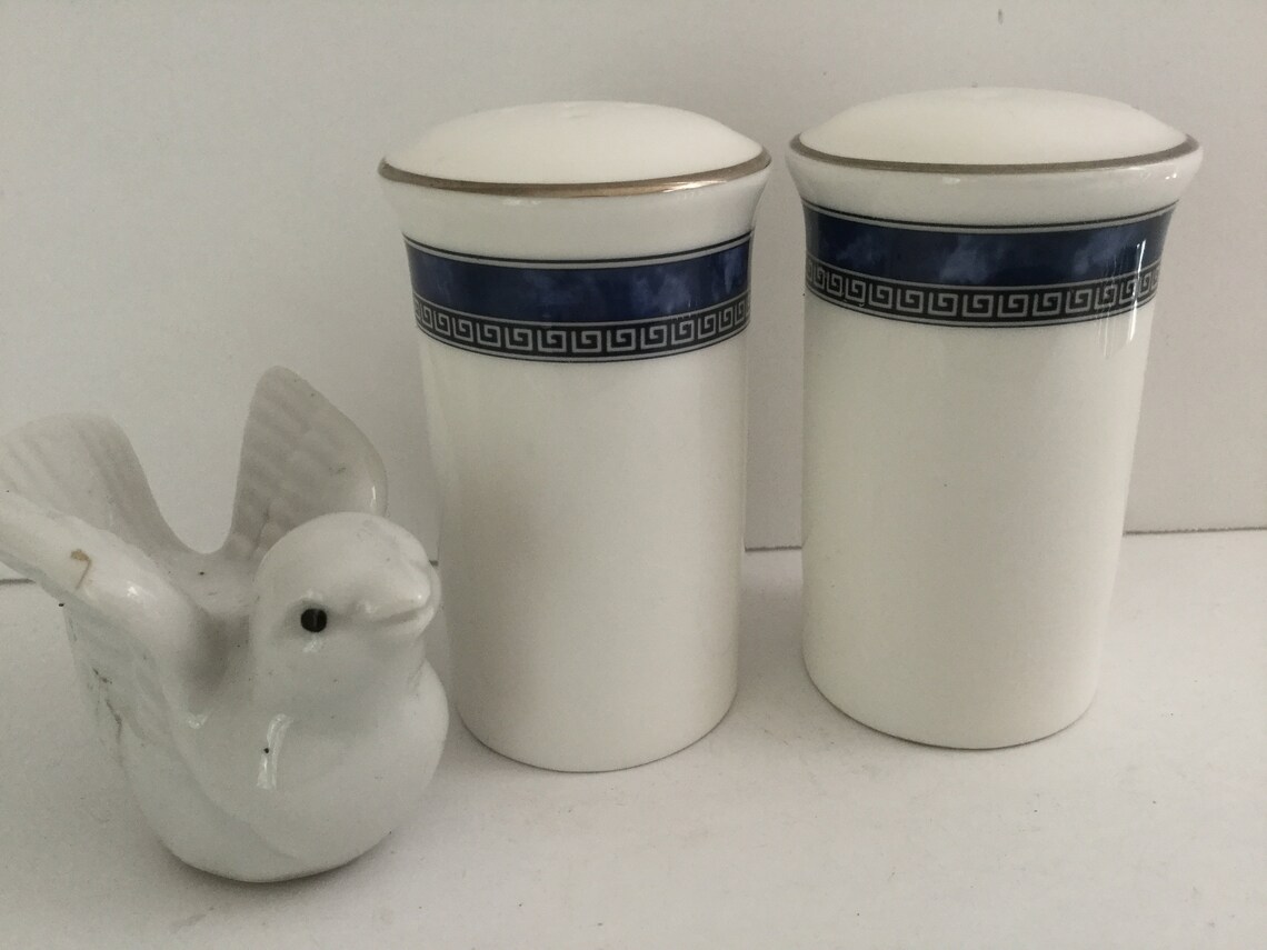 Royal Doulton Atlanta Salt and Pepper Shaker Made in England Etsy
