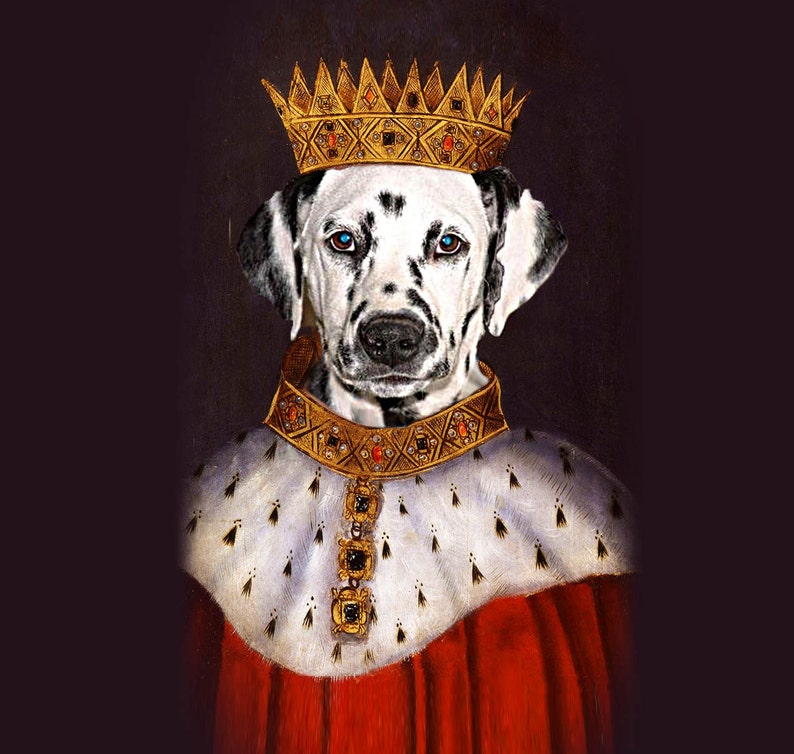 K&ouml;nnte beinhalten: Ein Dalmatinerhund, der eine goldene Krone und eine goldene und rote Robe tr&auml;gt. Der Hund hat blaue Augen und schaut direkt auf den Betrachter.