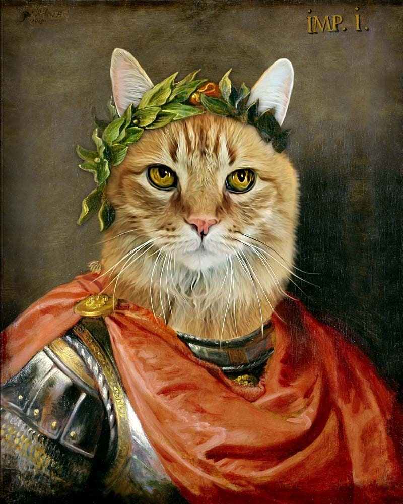 Julius Caesar Pet Portrait Custom Renaissance Pet Dog Cat Etsy Julius Caesar Pet Portrait Custom Renaissance Pet Dog Cat Etsy