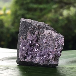 May include: A small, dark gray rock with a cluster of purple crystals embedded in it. The rock is sitting on a green leaf.