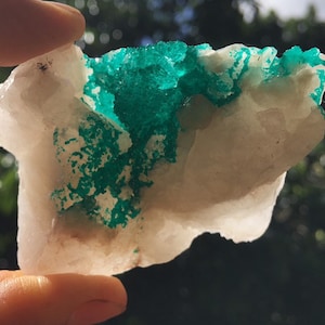 AAA Dioptase on Quartz, Kaokoveld Plateau, Cunene Region, Namibia ~ exquisite color and sparkle ~ translucency ~ wolrd class specimen