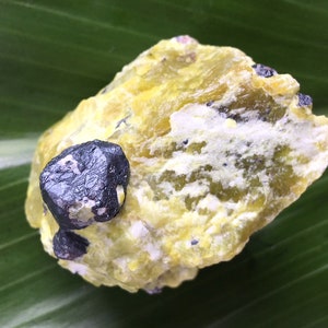 Pode incluir: Um espécime mineral amarelo e branco com um cristal cinza escuro incrustado. O espécime está sentado em uma folha verde.