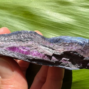 Richterite and Sugilite on black manganese matrix, South Africa ~ rare collector mineral specimen ~ investor specimen , indigo purple