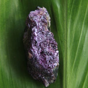 Könnte beinhalten: Nahaufnahme eines violetten und schwarzen Kristalls auf einem grünen Blatt. Der Kristall hat eine raue, strukturierte Oberfläche.