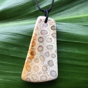 Agatized Coral pendant, Indonesia ~ Drilled petrified Coral ~ Free black cord with sliding knots for adjustable length ~ handmade on Kaua&#39;i