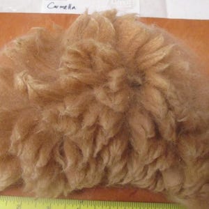 May include: A close-up of a clump of light brown camel hair. The hair is soft and fluffy, and it is arranged in a loose, circular shape.
