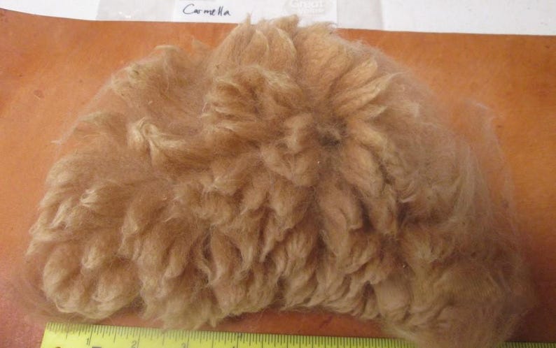 May include: A close-up of a clump of light brown camel hair. The hair is soft and fluffy, and it is arranged in a loose, circular shape.