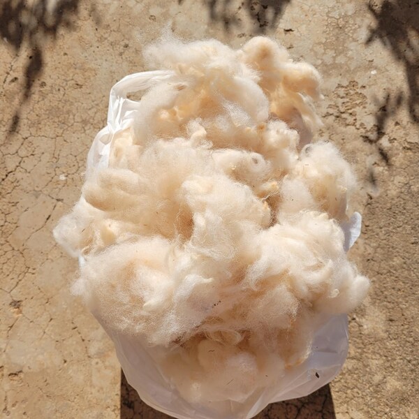 Washed White Alpaca Fiber