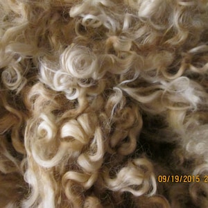 Cotswold Locken für Puppenhaar und Nikolausbärte
